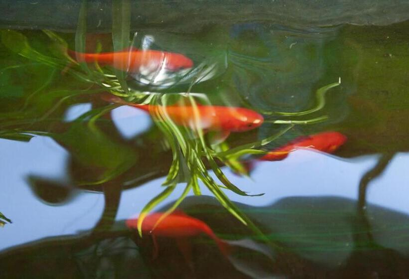 Hotel The Great Wall Courtyard Hostel