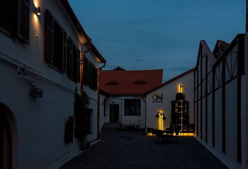 Отель Casa Nicolae Luxury Suites