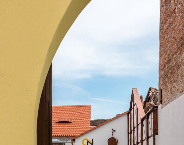 Отель Casa Nicolae Luxury Suites