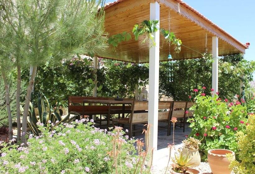 هتل Petra Bed & Breakfast