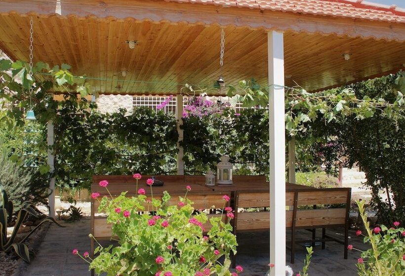 هتل Petra Bed & Breakfast