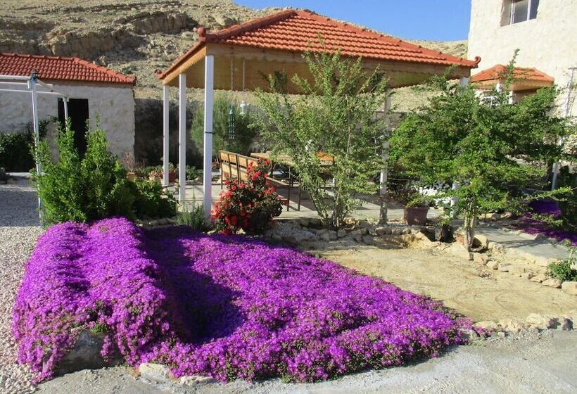 هتل Petra Bed & Breakfast