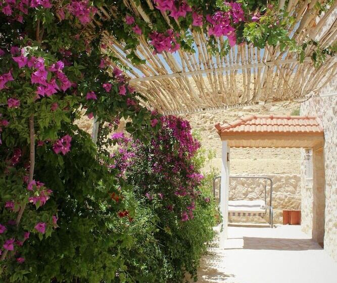 هتل Petra Bed & Breakfast