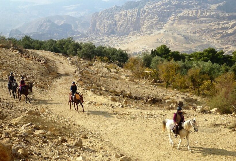 هتل Petra Bed & Breakfast