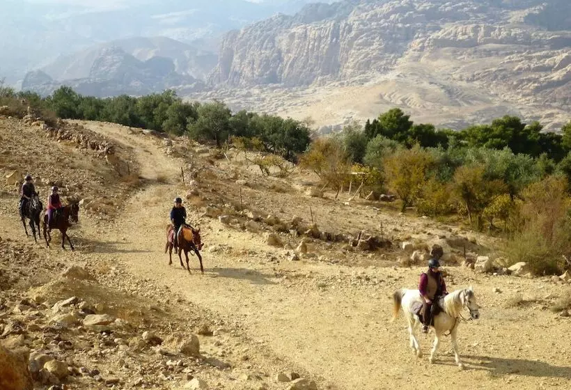 هتل Petra Bed & Breakfast