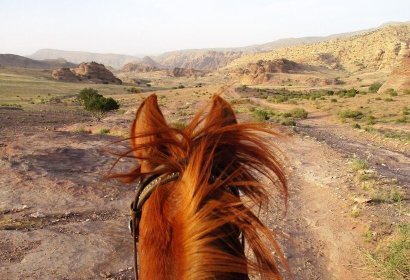 هتل Petra Bed & Breakfast