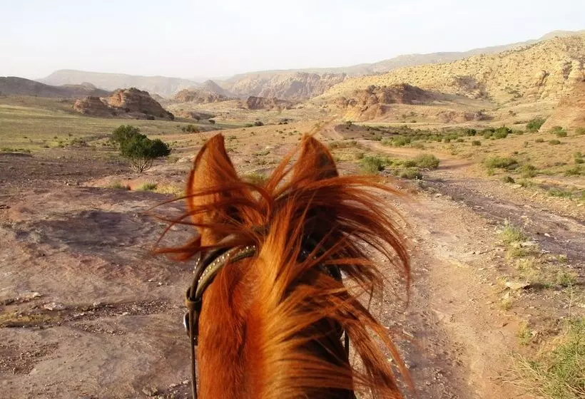 هتل Petra Bed & Breakfast