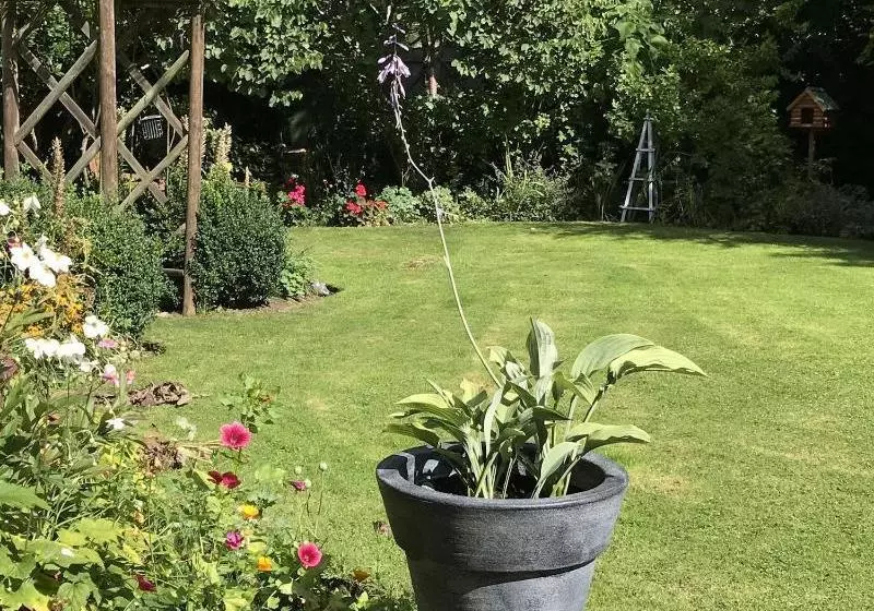 Hotelli Pigeon House Cottage B&b