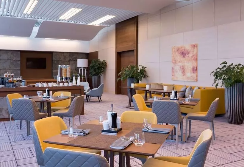 هتل Doubletree By Hilton Moscow Vnukovo Airport