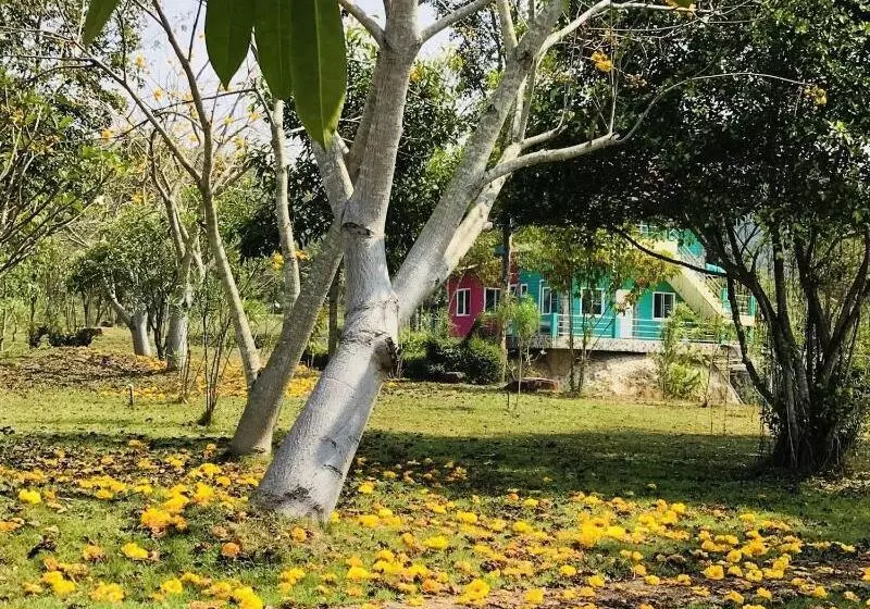 Hotelli Suan Phueng Pa Wai Resort