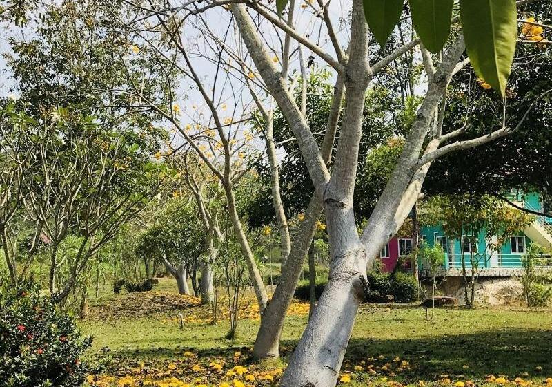בית מלון כפרי Suan Phueng Pa Wai Resort