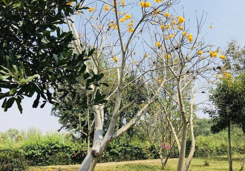 בית מלון כפרי Suan Phueng Pa Wai Resort