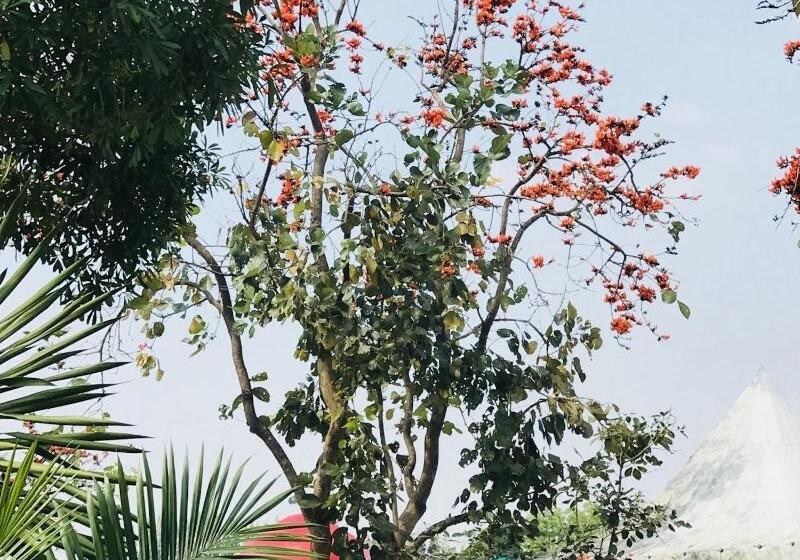 בית מלון כפרי Suan Phueng Pa Wai Resort