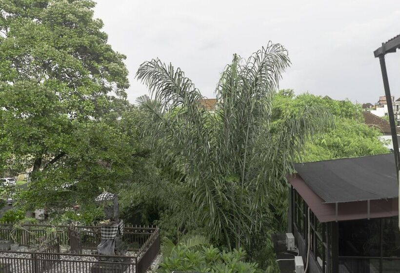 Пансион The Paica