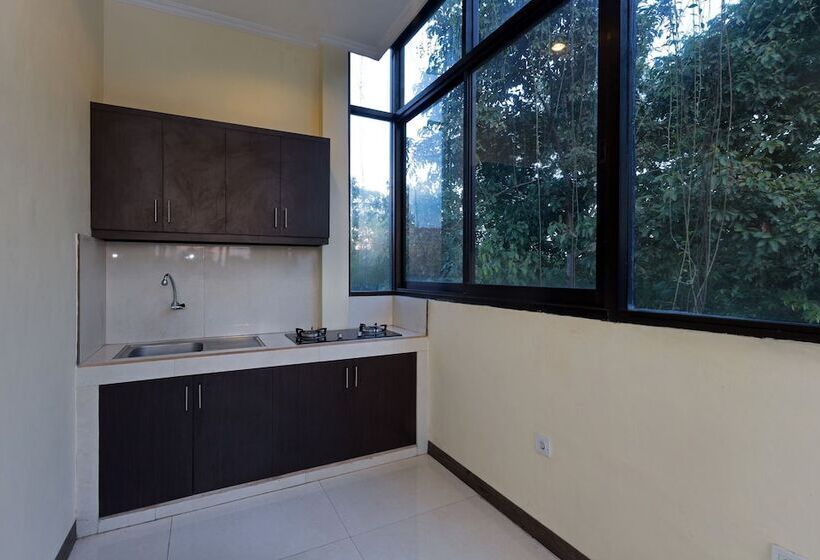 Пансион The Paica