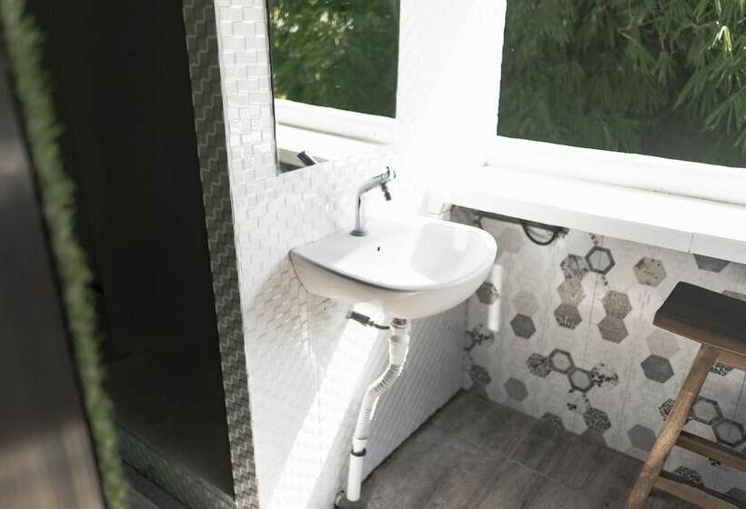 Пансион The Paica