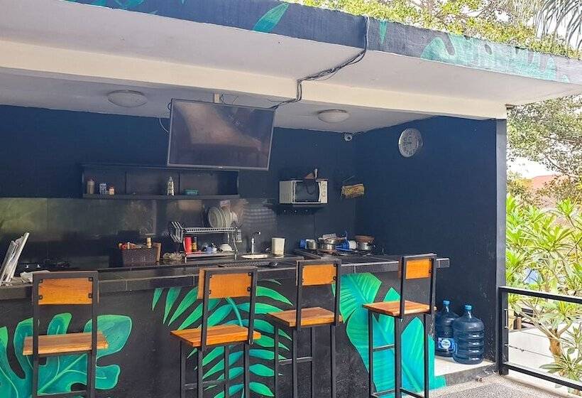 Пансион The Paica