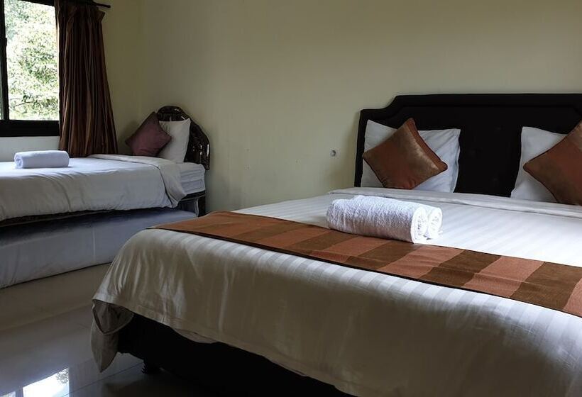 Пансион The Paica