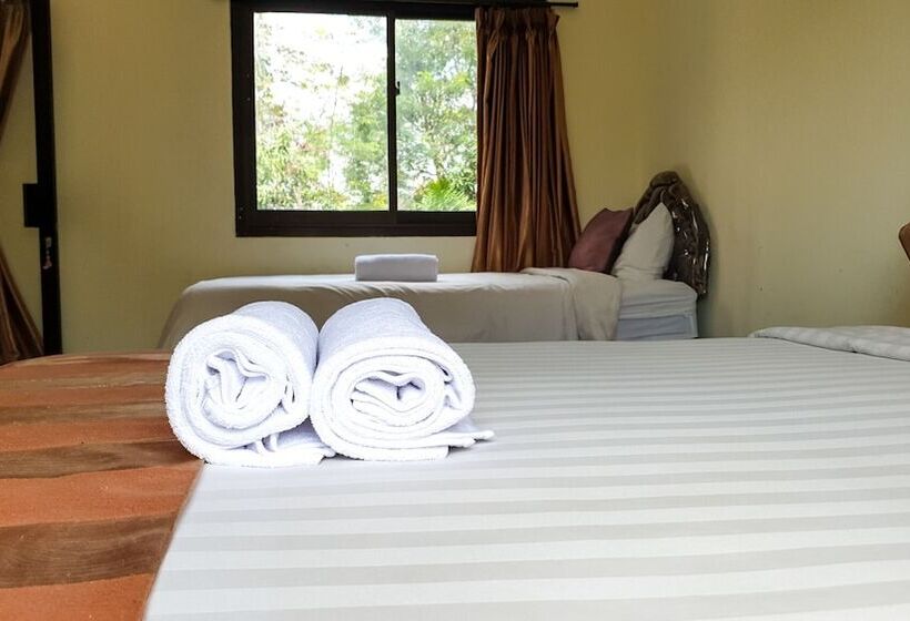 Пансион The Paica