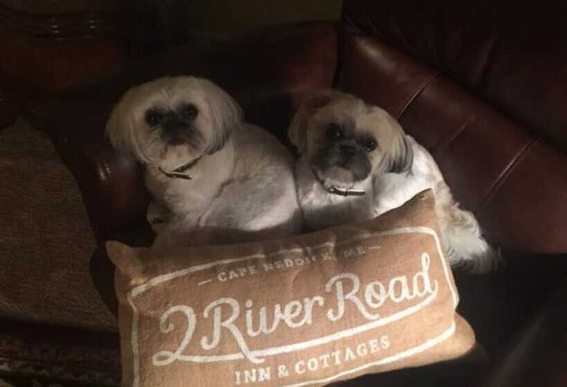 ベッドアンドブレックファースト 2 River Road Inn Cottages