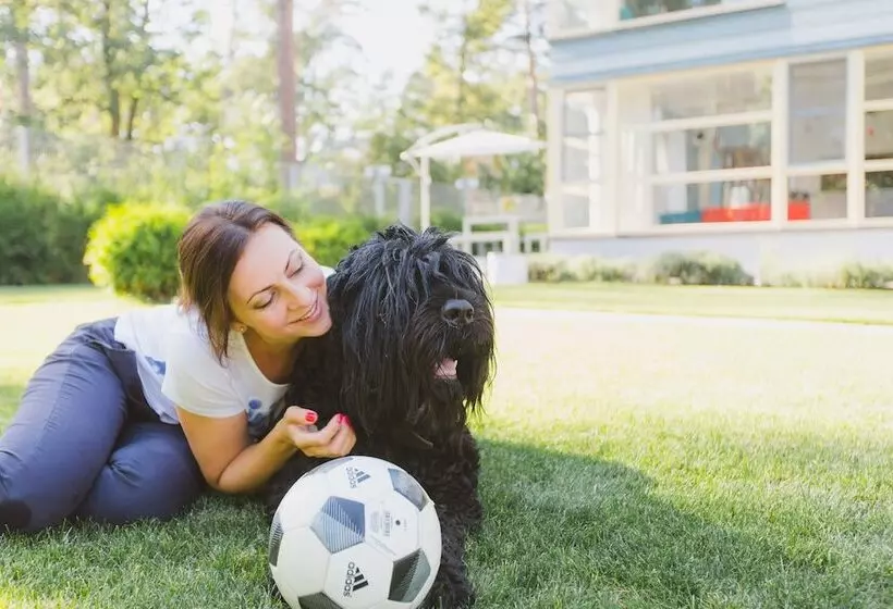 ベッドアンドブレックファースト Stockholm Studios