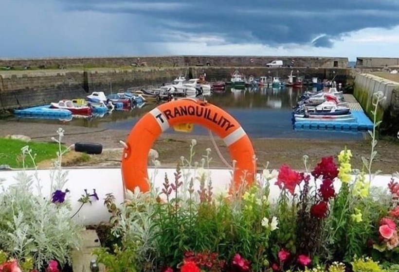 Door To The Shore Seafront Cottages