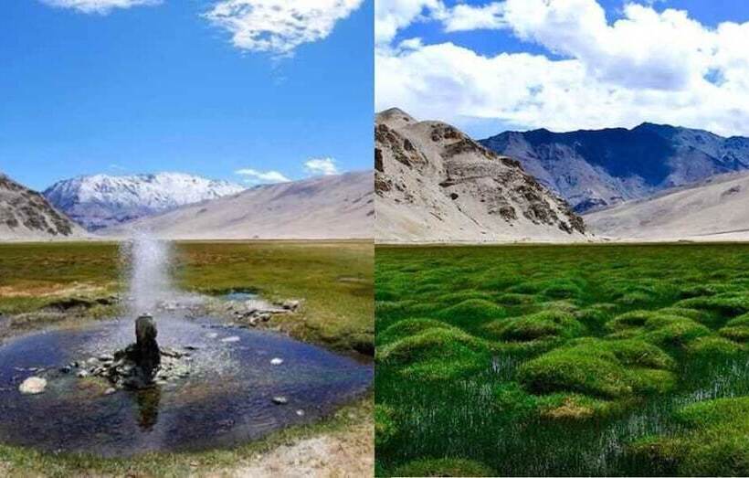 호텔 Golden Mark Camp