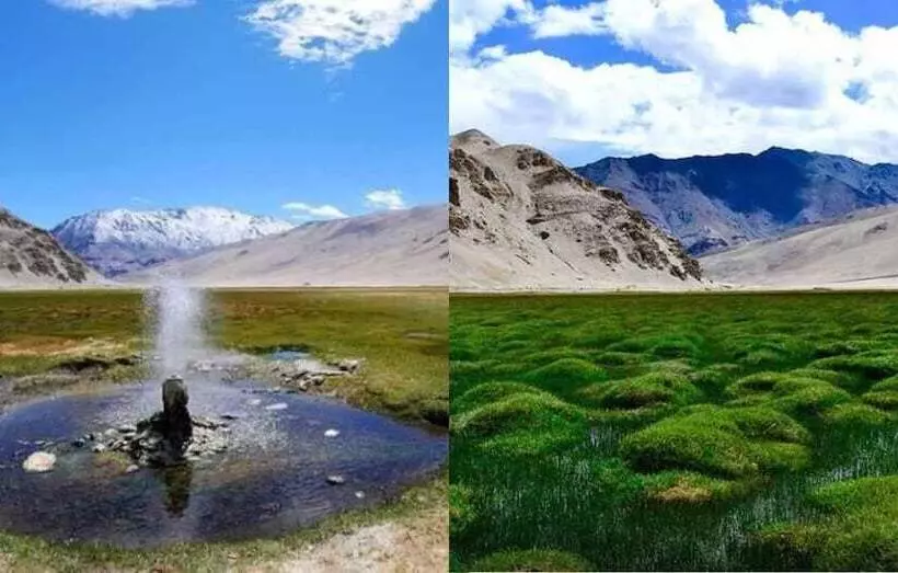 ホテル Golden Mark Camp