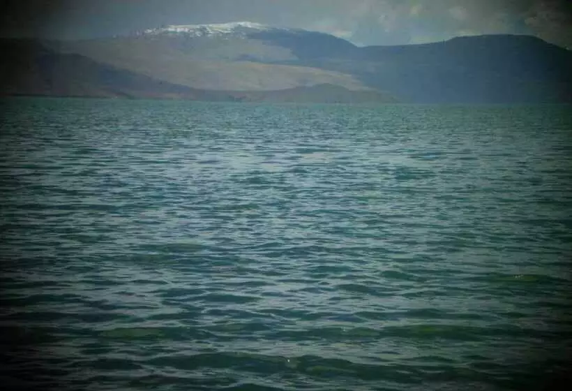 ホテル Golden Mark Camp