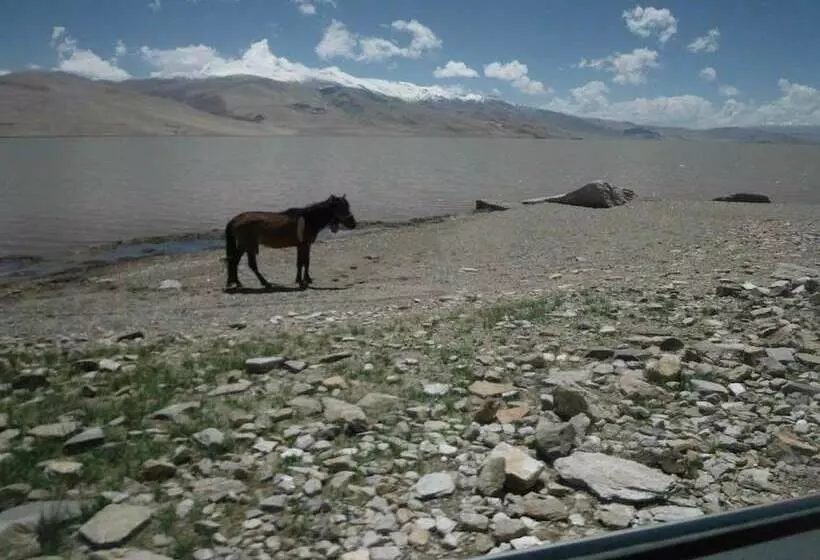 ホテル Golden Mark Camp