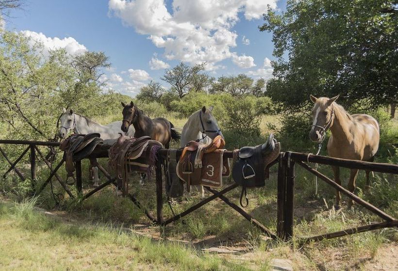 Fotos del hotel Hohewarte Guestfarm:  4