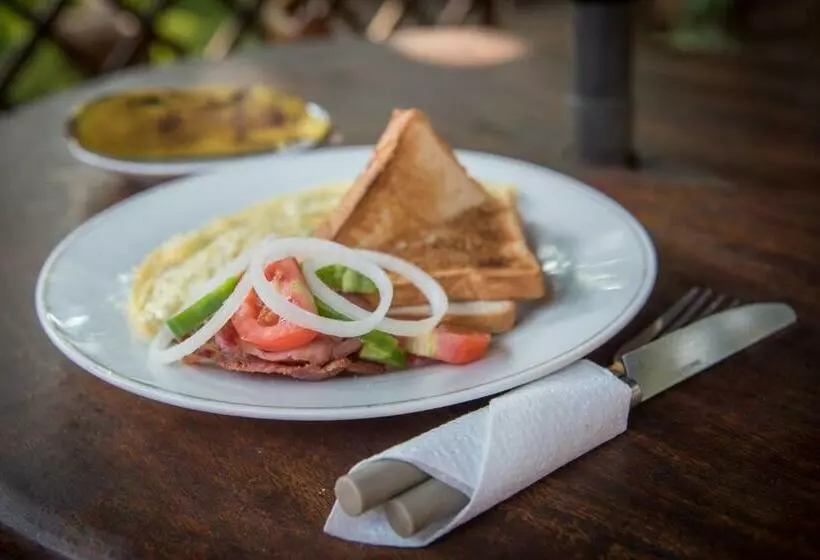 هتل Okavango Lodge