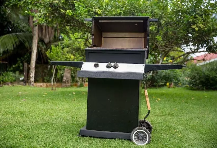 پانسیون The Orchard Holiday Home