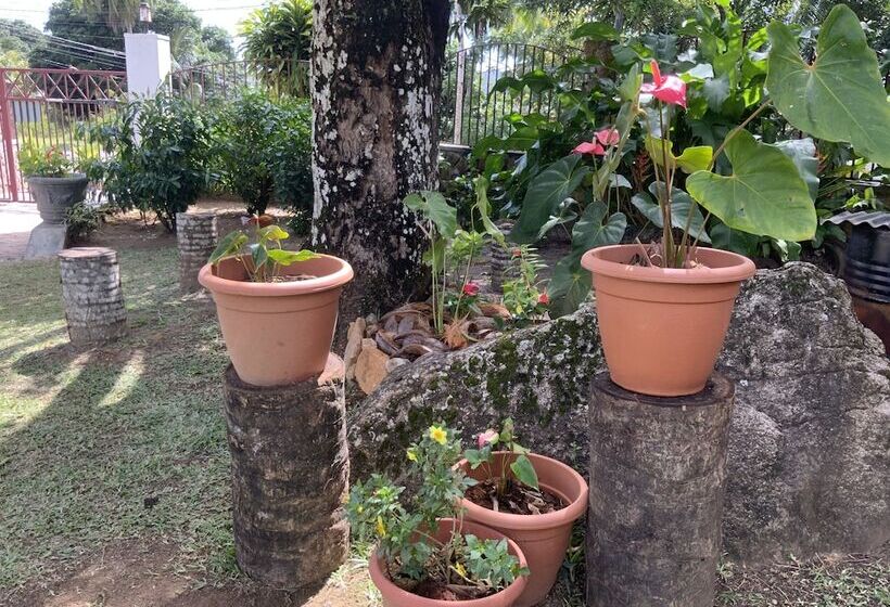 پانسیون The Orchard Holiday Home