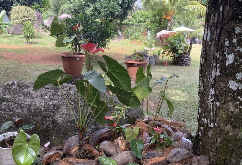 پانسیون The Orchard Holiday Home