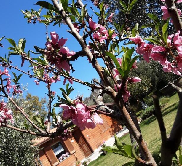 مبيت وإفطار O Chalet