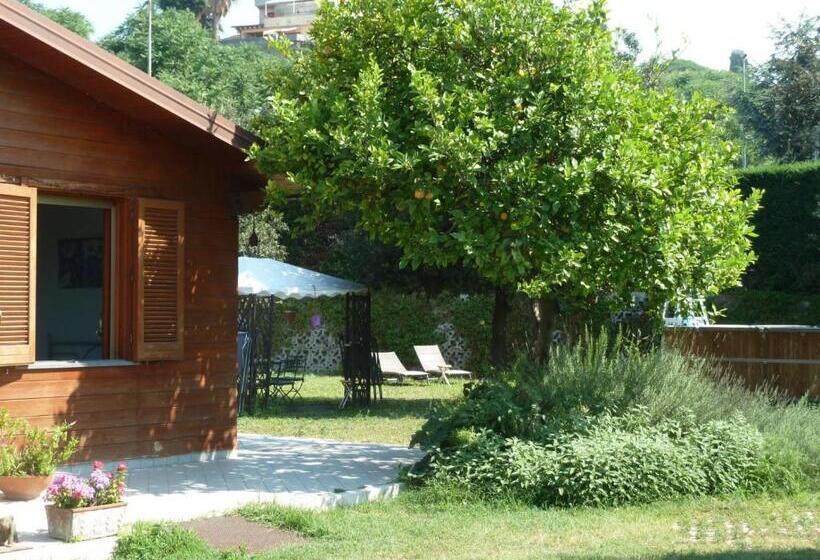 مبيت وإفطار O Chalet