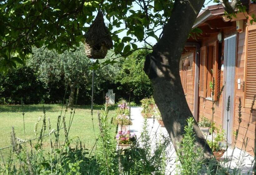 مبيت وإفطار O Chalet