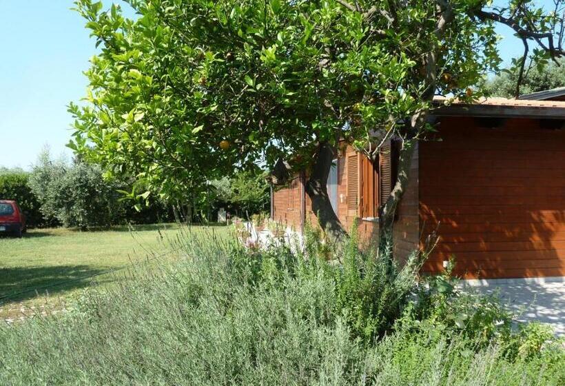 مبيت وإفطار O Chalet