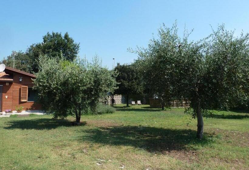 مبيت وإفطار O Chalet