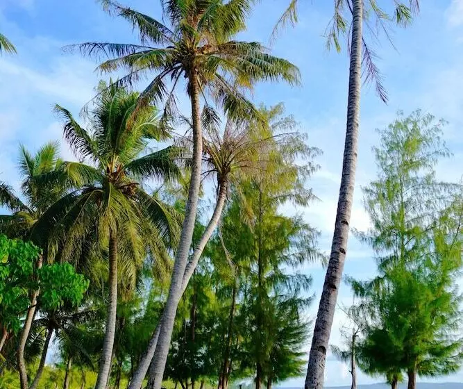 هتل Blue Saipan Garden