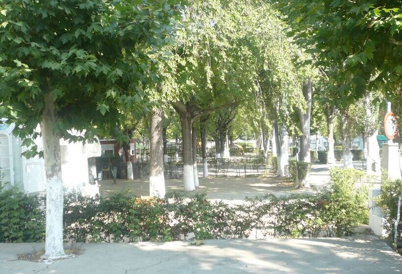 فندق Bungalows Alpha