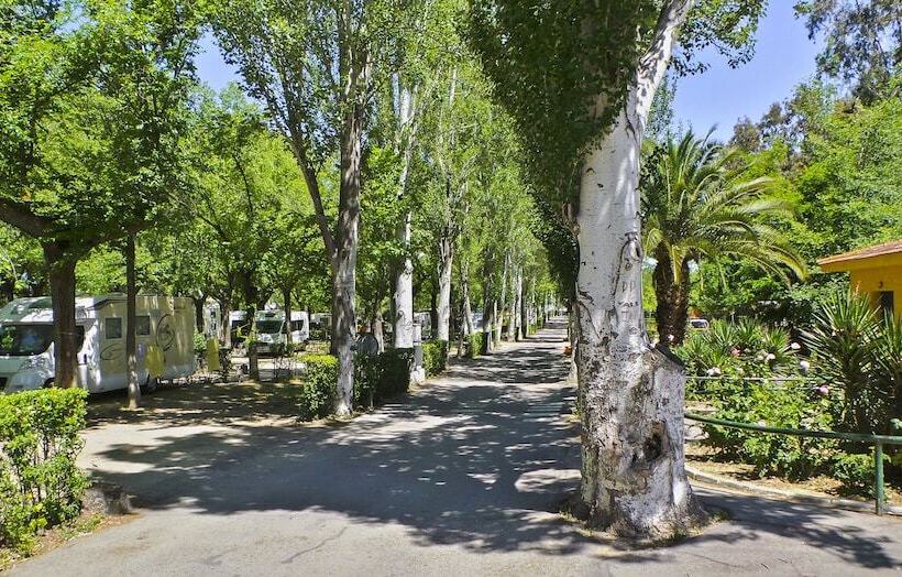 فندق Bungalows Alpha