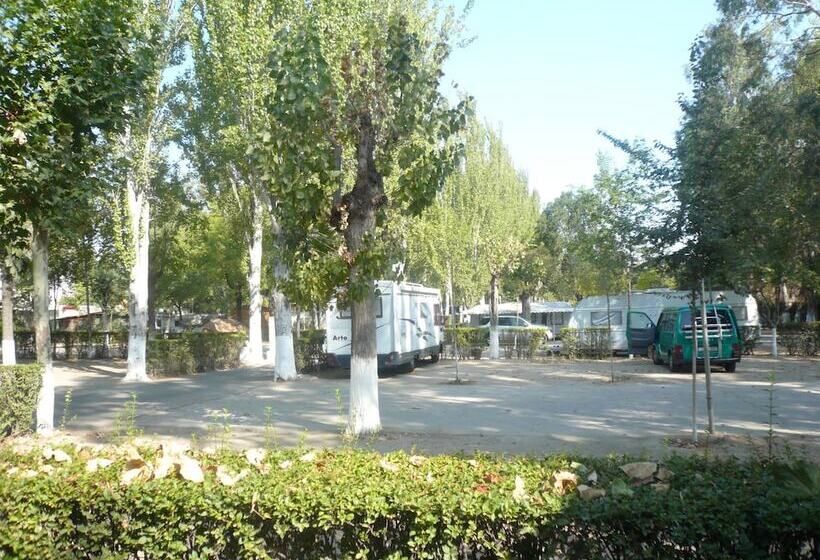 فندق Bungalows Alpha