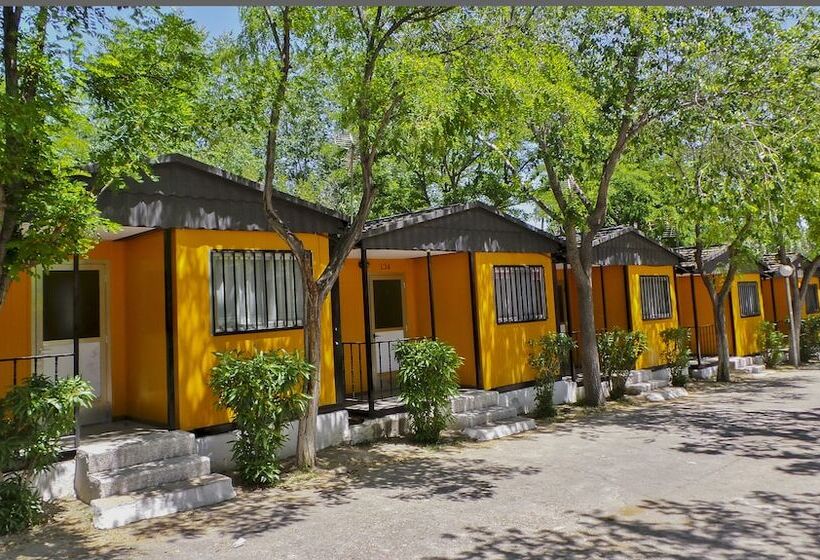 فندق Bungalows Alpha