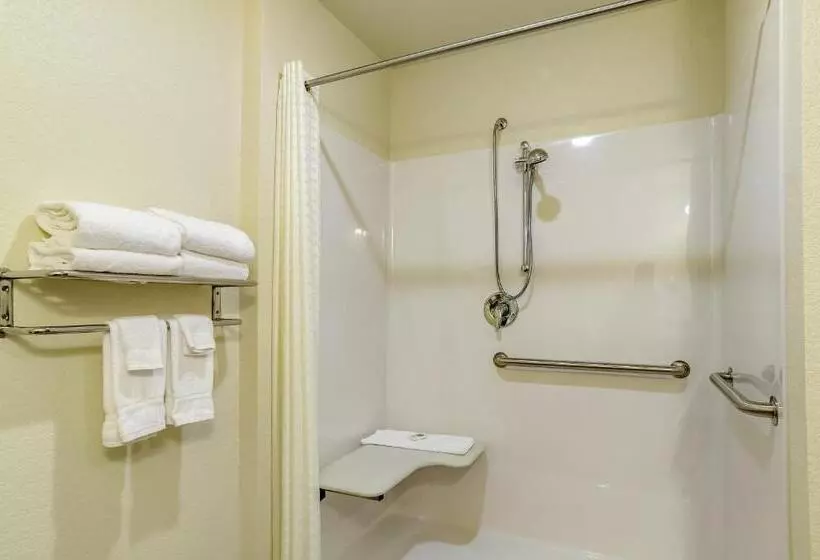 Cobblestone Hotel & Suites   Victor