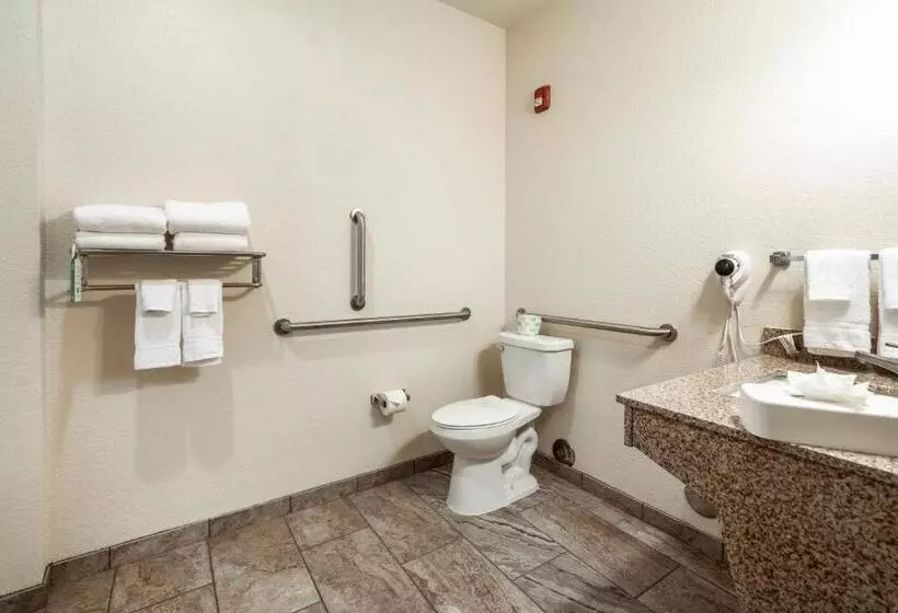 Cobblestone Hotel & Suites   Victor