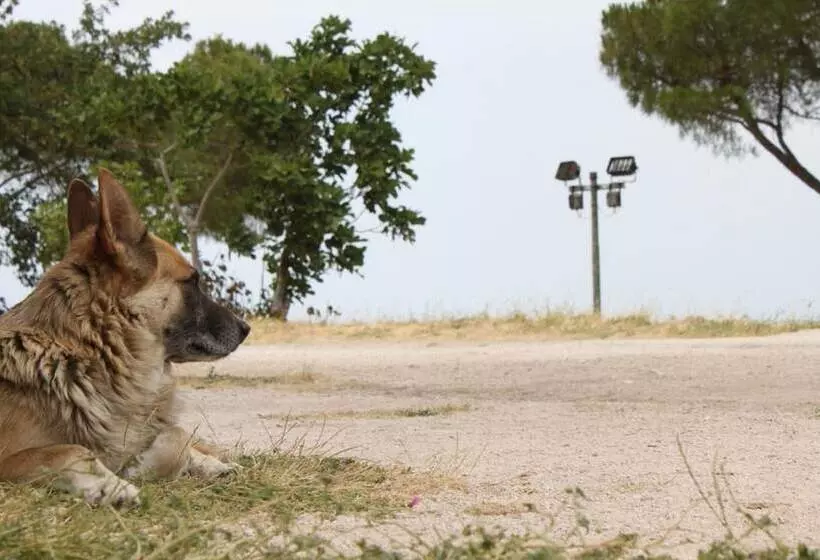 Hotelli La Vetta Europa