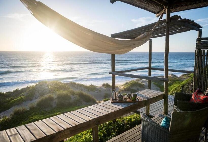 ホテル Sava Dunes