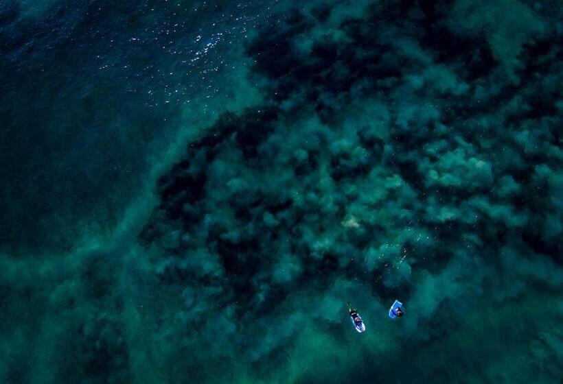 ホテル Sava Dunes